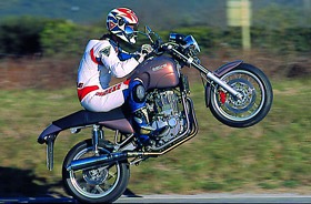 Kradblatt &#8211; Staging